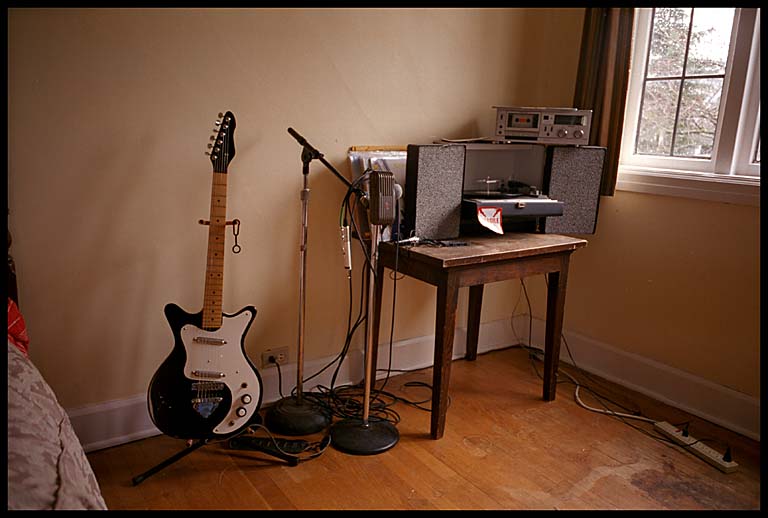 ebs danelectro