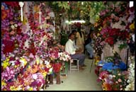 blr flower shop 17636 bytes