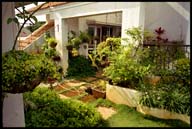 blr roof garden 15058 bytes