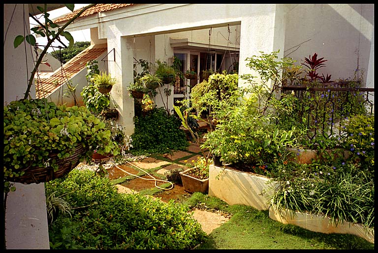 blr roof garden