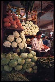blr veggies 21139 bytes