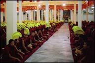 puja yellow hats 12714 bytes