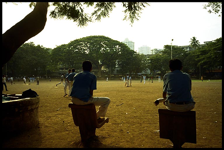 ak cricketteers