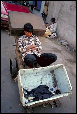 boy on cart 83280 bytes