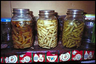 canned beans 87080 bytes