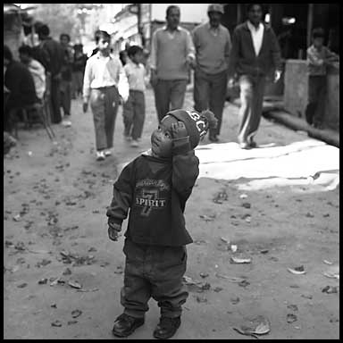 darjeeling boy 18975 bytes