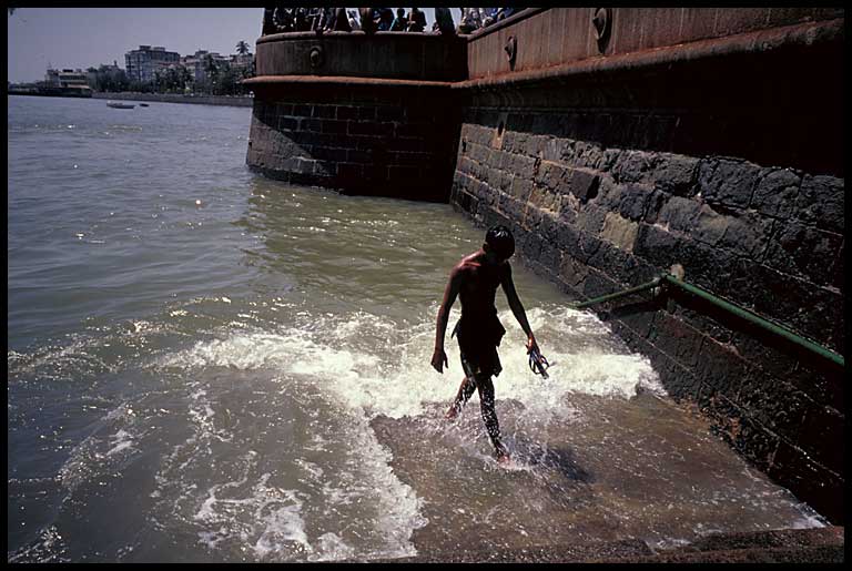 gateway swimmer