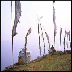 monk sitting with flags 10024 bytes