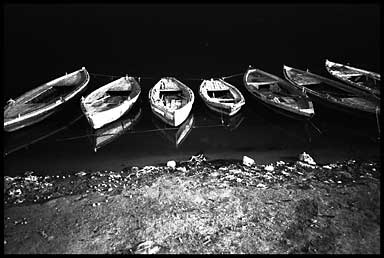 night boats1 18234 bytes
