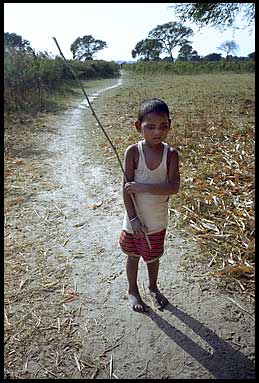 varanasi stickboy 1 28666 bytes